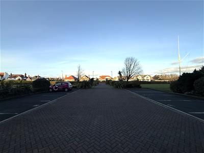 Picture 24